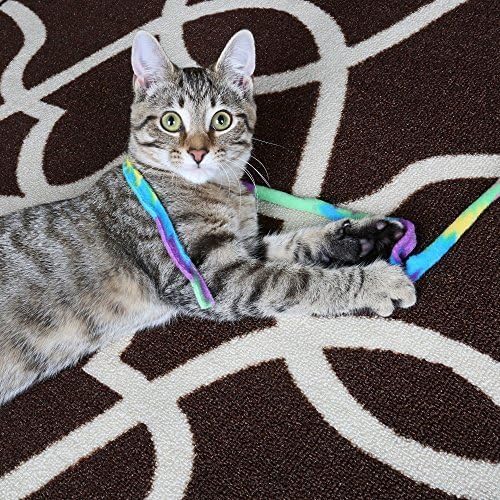 חתול רקדנית מקורי חתול צעצוע-בטוח שרביט עם צבעוני טיזר סרט-גמיש ממתח- – 2 מארז]